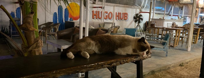 Hugo Hub is one of Phuket.