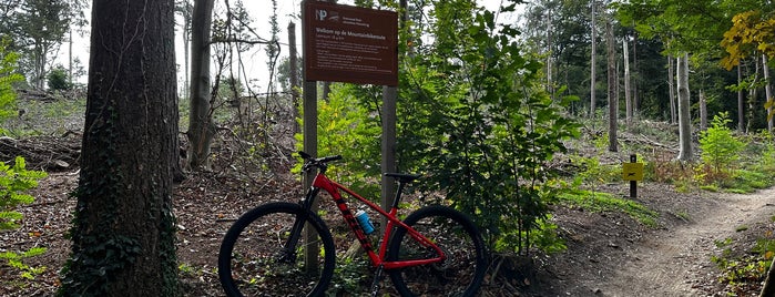 MTB route Leersum is one of mTB-Routes.