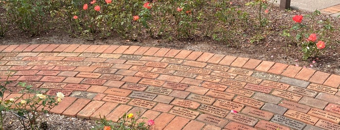 Rogers Memorial Library is one of Hamptons.