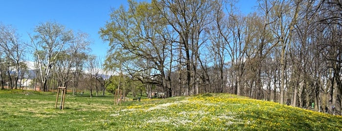 Parco della Pellerina is one of Best Park in Turin.