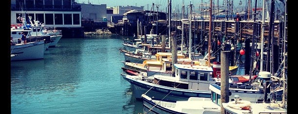 The Marina District is one of San Francisco Favorites.