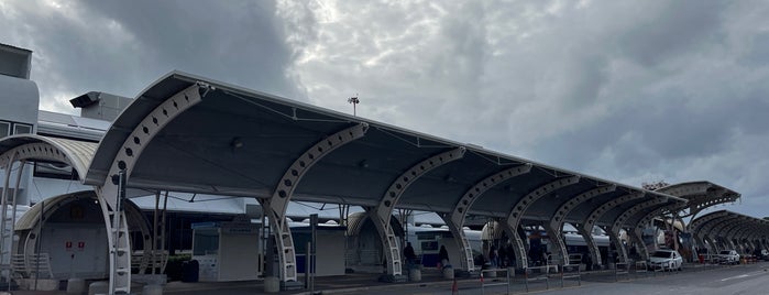 Aéroport de Lamezia Terme (SUF) is one of Lieux qui ont plu à Giulio.