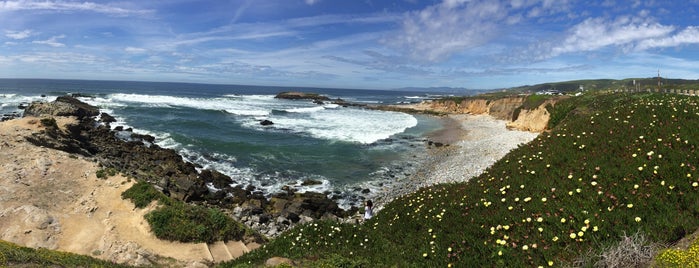 Pescadero State Beach is one of Road Trip: Los Angeles to San Francisco.