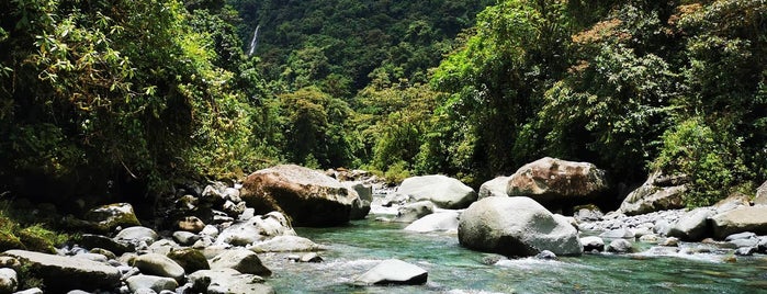 Parque Nacional Tapantí is one of Tempat yang Disukai Damian.