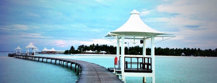 Chaaya Lagoon Hakura Huraa Resort Meemu Atoll is one of สถานที่ที่ Rebecca ถูกใจ.