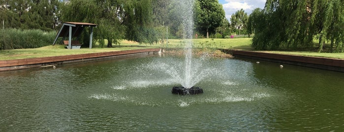 Campo Lago is one of Locais curtidos por Luis.