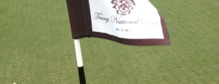 Doral White Course Park is one of Mike's Golf Course Adventure.