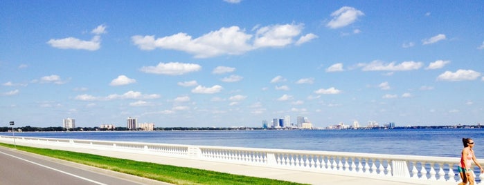 Bayshore Park is one of Princess' Tampa Hot Spots!.