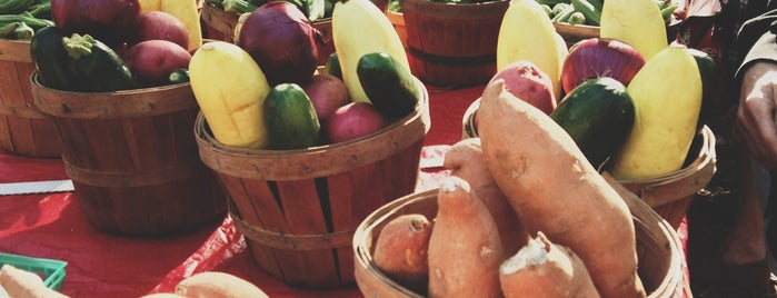 Where to buy locally grown food