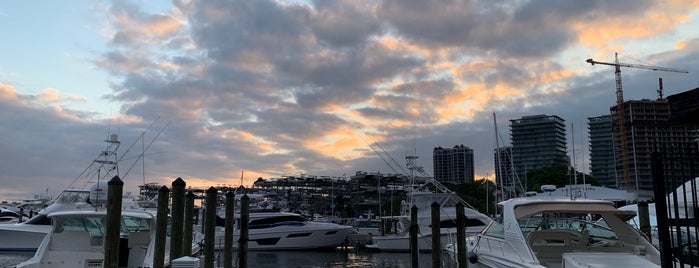 Coconut grove Marina is one of My Beaches.