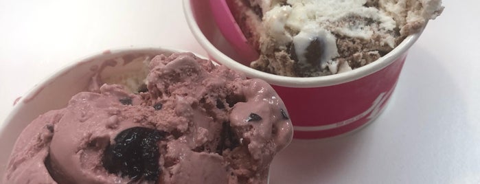 Bresler's Ice Cream & Yogurt is one of Venice, Florida.
