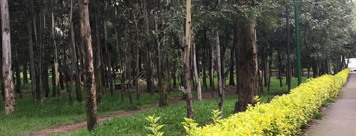 El parque de Bosques is one of Klelia 님이 좋아한 장소.