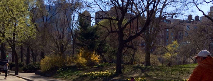 Central Park is one of Tempat yang Disukai Bruna.