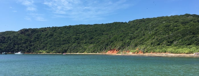 Praia da Tartaruga is one of Tempat yang Disukai Bruna.