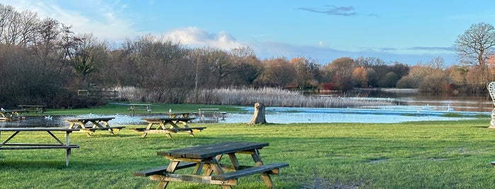 Moors Valley Country Park is one of Salisbury & Teffont Evias.
