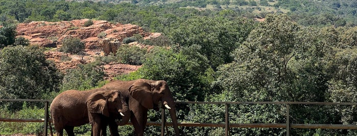 The Elephant Sanctuary is one of Joburg.