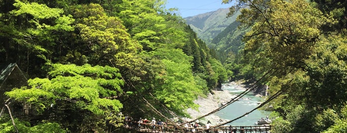 Kazura Bridge of Iya is one of abandoned places.