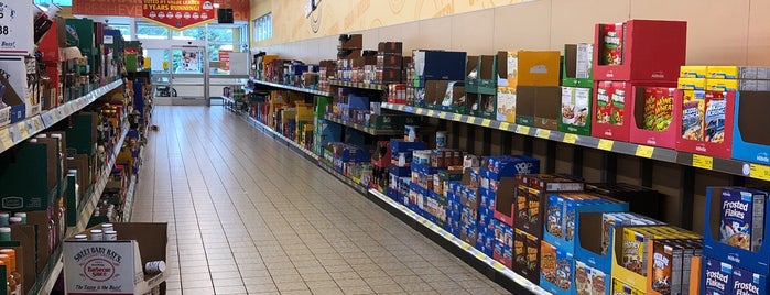 ALDI is one of A local’s guide: 48 Minutes in Springville, NY.