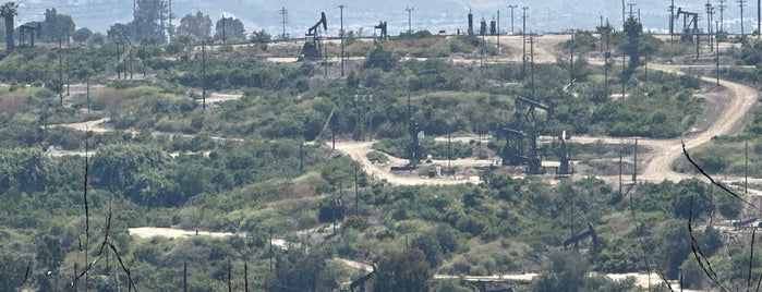 Kenneth Hahn State Recreation Area is one of Lugares guardados de Lana.
