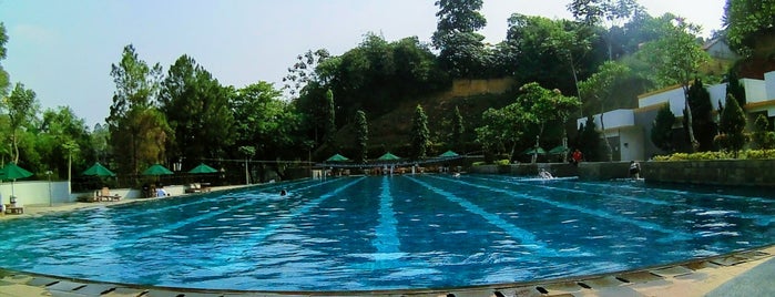 Meadow Terrace Swimming Pool is one of my daily.