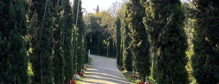 Nakkaştepe Millet Parkı is one of สถานที่ที่บันทึกไว้ของ Özge.
