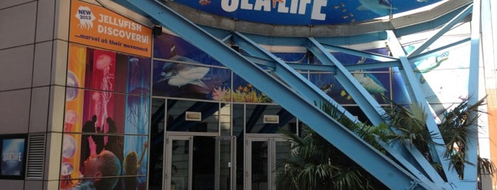 National Sea Life Centre is one of Birmingham sightseeing.