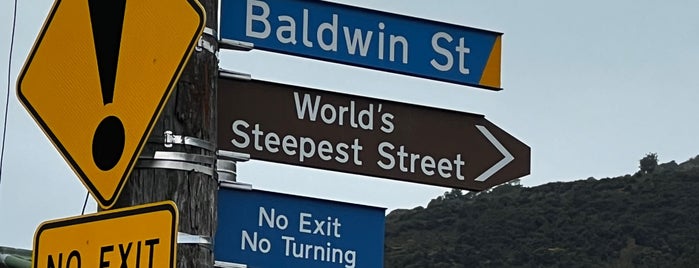 Baldwin Street (The World's Steepest Street) is one of NZ.