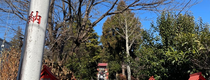 平出雷電神社 is one of Utsunomiya.