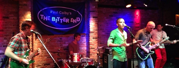 The Bitter End is one of jazz in ny.