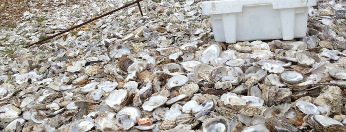 Whitstable Beach is one of Pame'nin Kaydettiği Mekanlar.