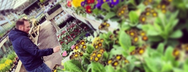 Neal's Nurseries is one of Garden Centres & Flower Shops in London.