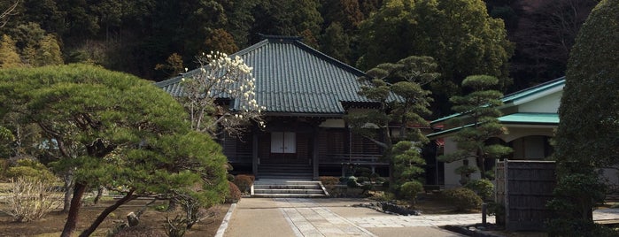 大長寺 is one of 鎌倉.