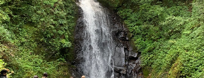 一乗滝 is one of 自然地形.