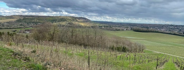 Denbies Wine Estate is one of Surrey Hill.