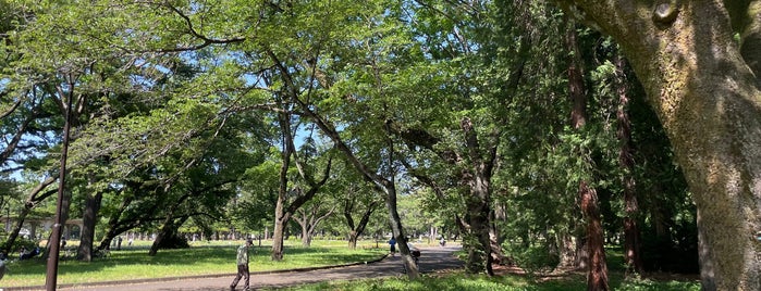 Koganei Park is one of 歴史（明治～）.