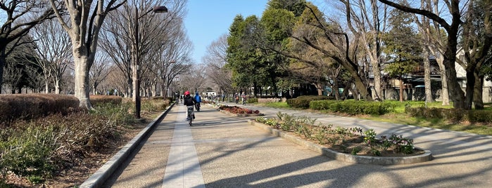 小金井公園正門 is one of 東京散歩.