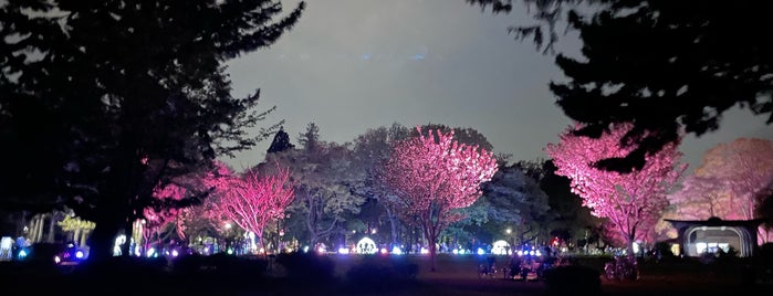 桜の園 is one of 東京散歩.