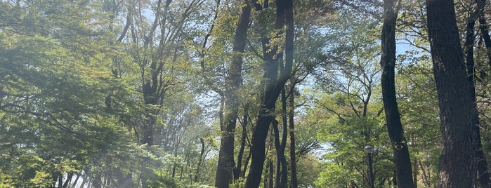 東村山中央公園 is one of 公園.