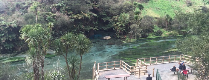 Blue Spring is one of my nz must do's.