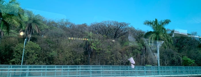 Avenida Presidente Antônio Carlos is one of locais BH.