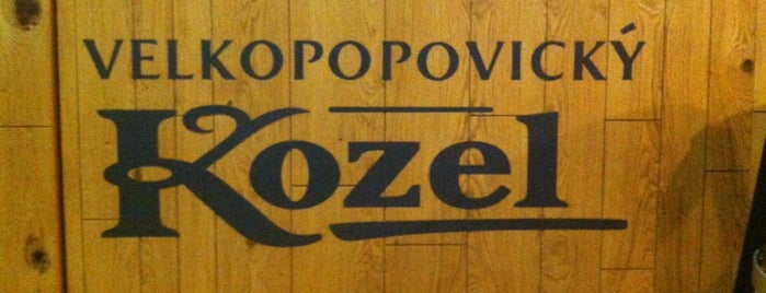 Kozlovna Česká Pivní Restaurace is one of Кишинев.