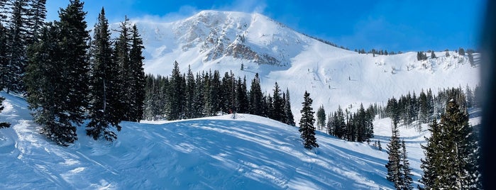 Alta Ski Area is one of Favorite Ski Mountains.