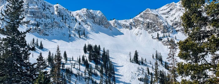 Solitude Mountain Resort is one of Misc..