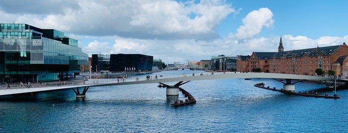 The Wave is one of Kopenhagen.