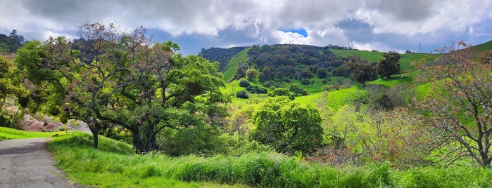 Black Diamond Mines Regional Preserve is one of Best Of The Rest Of The Bay.