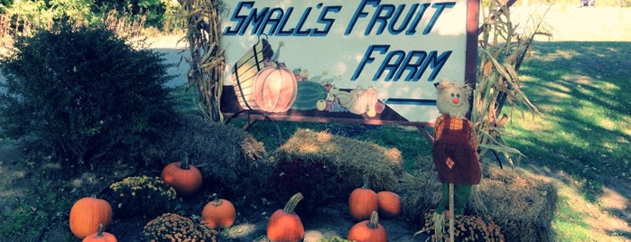 Smalls Fruit Farm is one of Locais curtidos por Laura.