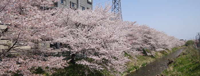 境川の河原 is one of 境川ポタ♪.