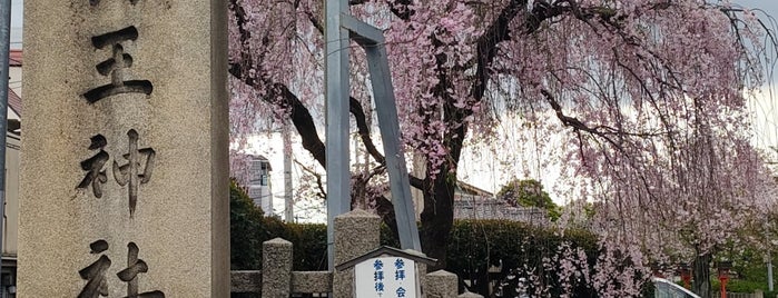 六孫王神社 is one of 京都の訪問済スポット（マイナー）.