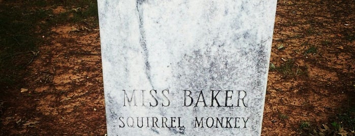 Gravesite Of Miss Baker, Space Monkey is one of Alabama.