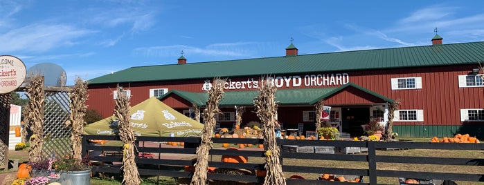 Boyd Orchards is one of Kid Friendly.